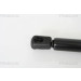 Gasfeder, Koffer-/Laderaum | 871016239 Gasfeder, Koffer-/Laderaum | 871016239