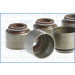 Dichtungssatz, Ventilschaft | 57009900 Dichtungssatz, Ventilschaft | 57009900