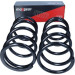Fahrwerksfeder | 60-0989D