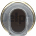 DELPHI Temperatursensor TS10278