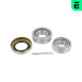 Radlagersatz | 972918 Radlagersatz | 972918