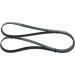 1 987 946 256 Keilrippenriemen 1 987 946 256 Keilrippenriemen