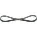1 987 946 119 Keilrippenriemen Elastic 1 987 946 119 Keilrippenriemen Elastic