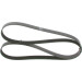 Keilrippenriemen | RENAULT,OPEL,NISSAN | 1987946257 Keilrippenriemen | RENAULT,OPEL,NISSAN | 1987946257