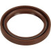 Wellendichtring Kurbelwelle | TOYOTA | 81-53231-00