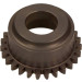 Riemenscheibe Wasserpumpe Renault 2.2-2.5 Dci | 8200413951 Riemenscheibe Wasserpumpe Renault 2.2-2.5 Dci | 8200413951