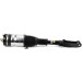 Arnott Luftfederbein VA | AUDI A6,A7 10 | AS-3309 Arnott Luftfederbein VA | AUDI A6,A7 10 | AS-3309