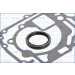 54075600 Dichtungssatz, Kurbelgehäuse