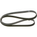 Keilrippenriemen | FIAT,OPEL,SUZUKI,ALFA | 1987948498 Keilrippenriemen | FIAT,OPEL,SUZUKI,ALFA | 1987948498