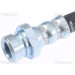 Bremsschlauch | 815043236 Bremsschlauch | 815043236