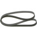 Keilrippenriemen | FORD,OPEL,PEUGEOT,CITROEN | 1987946280 Keilrippenriemen | FORD,OPEL,PEUGEOT,CITROEN | 1987946280