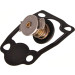 Thermostateinsatz mit Dichtung | CITROEN Jumper/FIAT Ducato 06 | TX 266 79D Thermostateinsatz mit Dichtung | CITROEN Jumper/FIAT Ducato 06 | TX 266 79D