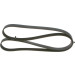 Keilrippenriemen | VW,SKODA,TOYOTA,AUDI | 1987947951 Keilrippenriemen | VW,SKODA,TOYOTA,AUDI | 1987947951