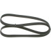 Keilrippenriemen | TOYOTA,BMW | 1987946252 Keilrippenriemen | TOYOTA,BMW | 1987946252