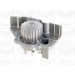 PA 391 Wasserpumpe | CITROEN,PEUGEOT 306 87 | PA391 PA 391 Wasserpumpe | CITROEN,PEUGEOT 306 87 | PA391