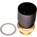 Temperaturschalter, K Hlerl Ft | 21-0148 Temperaturschalter, K Hlerl Ft | 21-0148