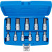 BGS Bit-Einsatz-Satz | Antrieb Innenvierkant 12,5 mm (1/2"""") | Innensechskant 7/32"""" - 13/16"""" | Zollgrößen | 11-tlg | 5053 BGS Bit-Einsatz-Satz | Antrieb Innenvierkant 12,5 mm (1/2"""") | Innensechskant 7/32"""" - 13/16"""" | Zollgrößen | 11-tlg | 5053
