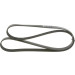 Keilrippenriemen | HONDA,BMW,NISSAN,RENAULT | 1987948313 Keilrippenriemen | HONDA,BMW,NISSAN,RENAULT | 1987948313