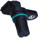 Sensor, Nockenwellenposition | 81342 Sensor, Nockenwellenposition | 81342