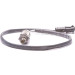 Lambdasonde RENAULT,CHRYSLER,PLYMOUTH,DODGE 0 258 003 892