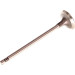 Einlassventil | 539030 Einlassventil | 539030