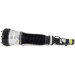 ARNOTT Fahrwerksfeder | AS-2193 ARNOTT Fahrwerksfeder | AS-2193