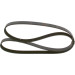 Keilrippenriemen | VW,OPEL,FORD,RENAULT | 1987947948 Keilrippenriemen | VW,OPEL,FORD,RENAULT | 1987947948