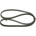 Keilrippenriemen | MAZDA,FORD | 1987948359 Keilrippenriemen | MAZDA,FORD | 1987948359