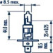 NARVA Glühlampe, Hauptscheinwerfer | 48068 NARVA Glühlampe, Hauptscheinwerfer | 48068