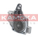 KAMOKA Wasserpumpe T0239