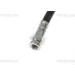 Bremsschlauch | 815015204 Bremsschlauch | 815015204