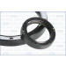 Dichtungsvollsatz, Motor | 50244900 Dichtungsvollsatz, Motor | 50244900