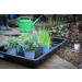 BGS Mehrzweckwanne mit Ausgießer | schwarz | 50 l | 9997 BGS Mehrzweckwanne mit Ausgießer | schwarz | 50 l | 9997