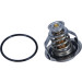 Thermostat, Kühlmittel | DT1031V Thermostat, Kühlmittel | DT1031V