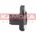 KAMOKA Impulsgeber, Kurbelwelle | 109021 KAMOKA Impulsgeber, Kurbelwelle | 109021