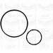 PA 1078 Wasserpumpe | HYUNDAI,KIA Ceed 05 | PA1078 PA 1078 Wasserpumpe | HYUNDAI,KIA Ceed 05 | PA1078