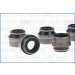 57000800 Dichtungssatz, Ventilschaft