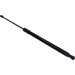 Gasfeder, Hinten L 549,5 510N Renault Grand Scenic 16 LIFT-O-MAT® 699825
