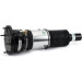 Arnott Luftfederbein VA | AUDI A6,A7 10 | AS-3309 Arnott Luftfederbein VA | AUDI A6,A7 10 | AS-3309