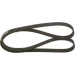 Keilrippenriemen | SSANGYONG,MAZDA,MERCEDES | 1987947569 Keilrippenriemen | SSANGYONG,MAZDA,MERCEDES | 1987947569