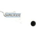 65 / Auspuffrohr Mitte | PEUGEOT 406 1.9D 96-04 | 7583