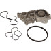 Wasserpumpe + Zahnriemensatz | CT1185WP1 Wasserpumpe + Zahnriemensatz | CT1185WP1