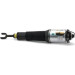 Arnott Luftfederbein VA re | AUDI A8 Comfort Fahrwerk 02-10 | AS-2775 Arnott Luftfederbein VA re | AUDI A8 Comfort Fahrwerk 02-10 | AS-2775