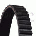 Zahnriemen | CT1149 Zahnriemen | CT1149