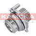 KAMOKA Wasserpumpe | T0029 KAMOKA Wasserpumpe | T0029