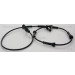 Sensor, Raddrehzahl | 818017405 Sensor, Raddrehzahl | 818017405