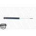 MONROE ORIGINAL-Gasdämpfer HA | HYUNDAI Getz 02 | G21659
