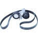 Keilrippenriemensatz | 529 0206 10 Keilrippenriemensatz | 529 0206 10