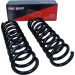 Fahrwerksfeder | 60-0251D Fahrwerksfeder | 60-0251D