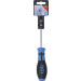 BGS Schraubendreher | T-Profil (für Torx) T30 | Klingenlänge 100 mm | 4922 BGS Schraubendreher | T-Profil (für Torx) T30 | Klingenlänge 100 mm | 4922
